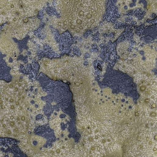 Brakebusch Restaurierungswerkstatt Düsseldorf